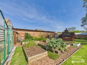 Veg Garden- click for photo gallery